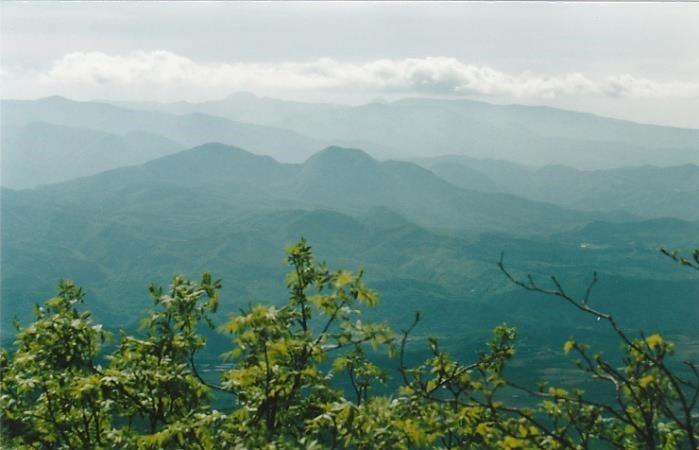 八甲田山