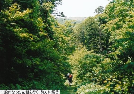 入山奥に鋸岳