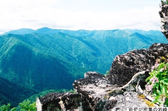 岩茸が密集している岩峰から望む十勝の山々