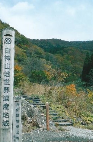 白神山地世界遺産地域