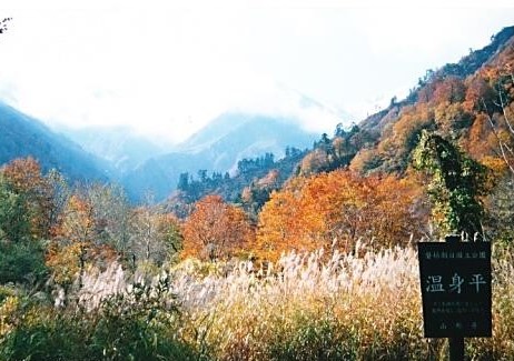 温身平より北股岳（2025ｍ）