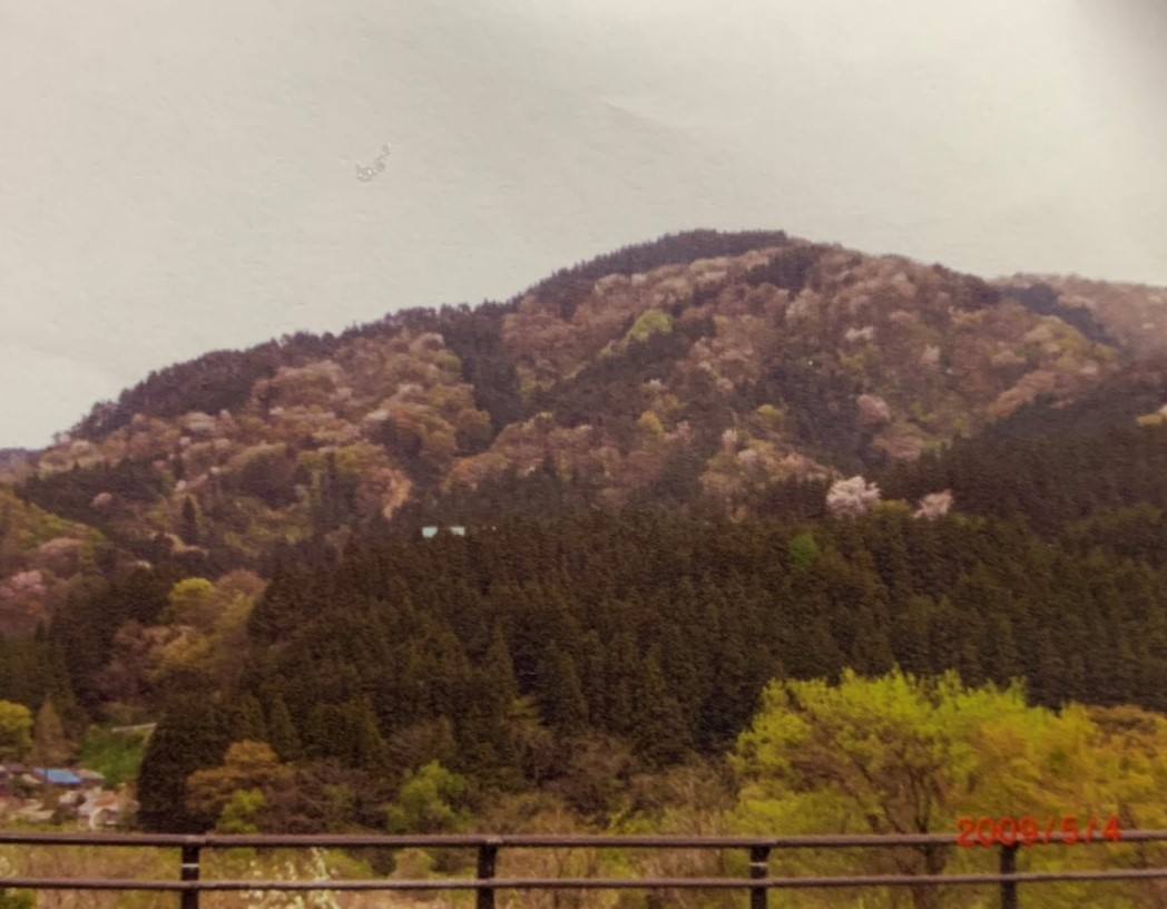 庄内海浜県立自然公園にも指定～金峯山～（山形）