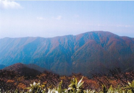 作日登った白岩岳の岩稜