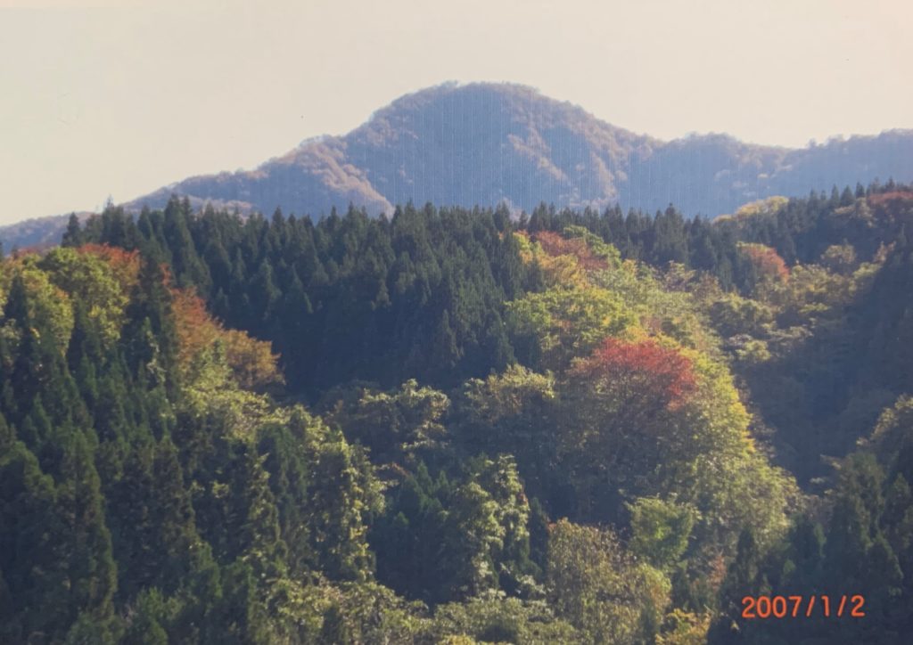 長滝林道から母狩山