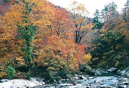 梅花皮川支流　大叉沢にて