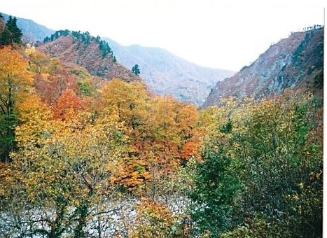 紅葉に染まる飯豊連峰の山々