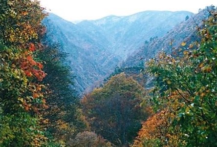 梅花皮沢より門内岳（1887m）