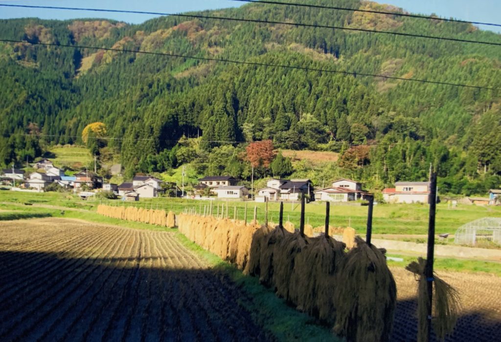 山五十川集落の田園風景　ハザキを使用