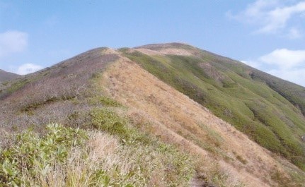 山頂からの景色