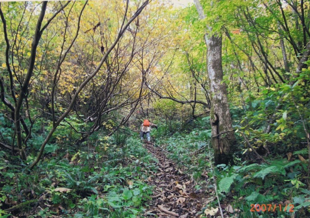 母狩山　たわわに実る山葡萄の先は急登の連続