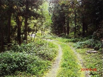 高倉林道この先崩壊地　