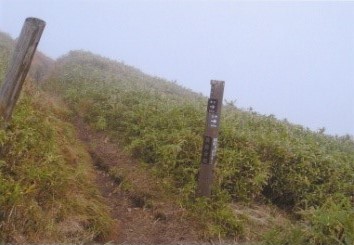 薬師分岐（薬師岳→大甲）