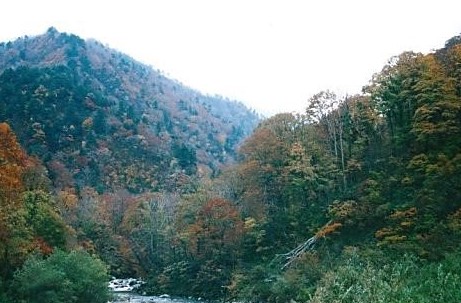 梅花皮川支流　休場ノ峰を望む