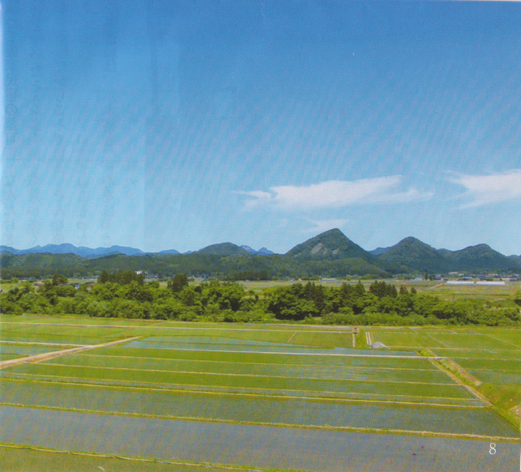 金山三山（薬師山・中の森・熊鷹森）