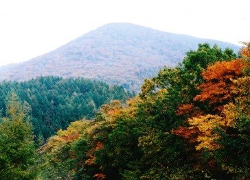 遠野からの六角牛山、、リベンジしたい！