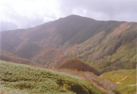 小杉山～辿ってきた薬師岳を望む