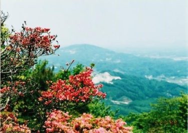 山ツツジが見ごたえの～高柴山～（福島）