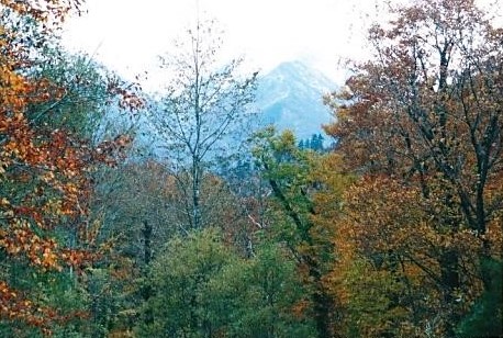 梅花皮沢より駒形山と御西岳