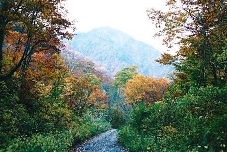 温身平より梶川峰（1692m)