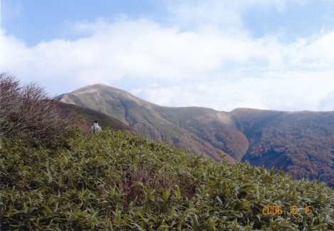 振り返ればガスが抜けた和賀岳