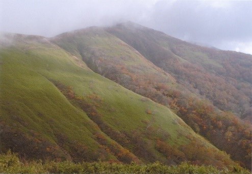 小杉山～小鷲倉への稜線