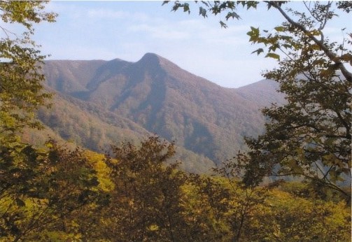 甘露水登山口から甲山を望む