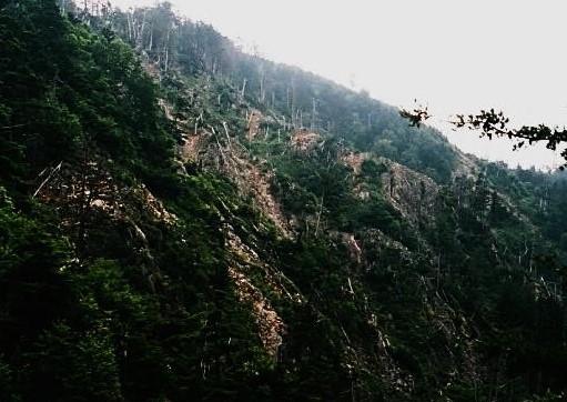 ワルサ峰を越え振り返れば