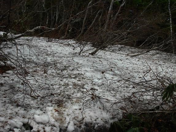 残雪