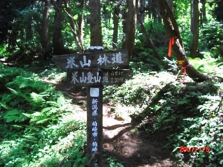 米山林道