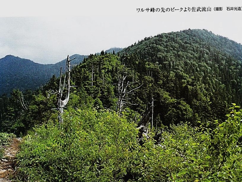 ワルサ峰のピークから佐武流山