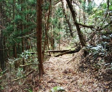 荒れた登山道