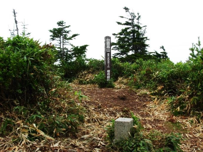 台倉高山　山頂