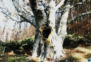 別名「天空のキャンプ場」～陣馬形山～（長野）