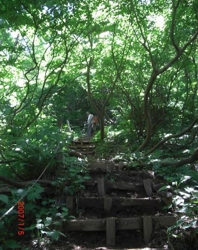 急階段の連続する登山道