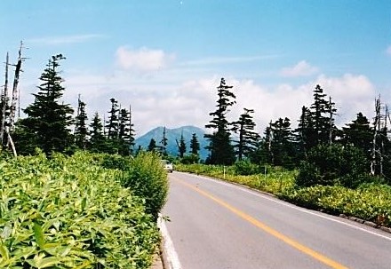 志賀草津道路～岩菅山