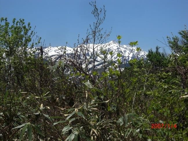 焼山・火打山