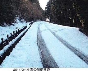 雪の竜爪道