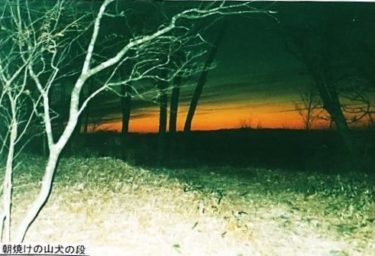 かつては秘境だった～蕎麦粒山・高塚山・竜頭山～（静岡）