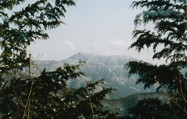 達沢山～薄化粧した三ッ峠山を望む