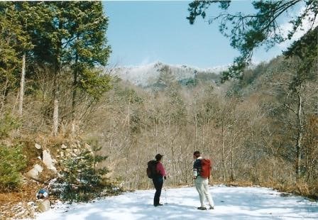 林道終点から達沢山を仰ぐ登山口は左