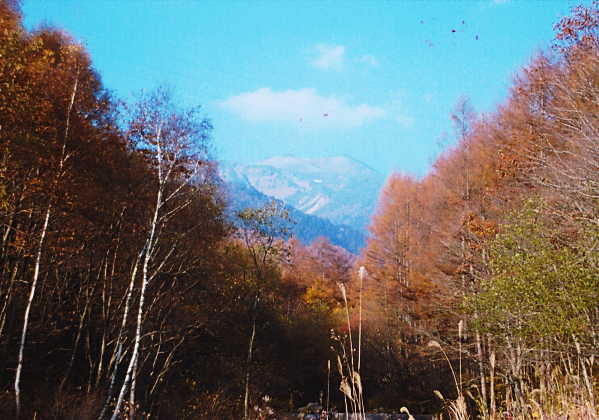 阿多野郷から乗鞍岳 