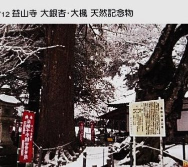 天然記念物の大カエデと大いちょうがある益山寺にも出会える～葛城山・発端丈山～（静岡）