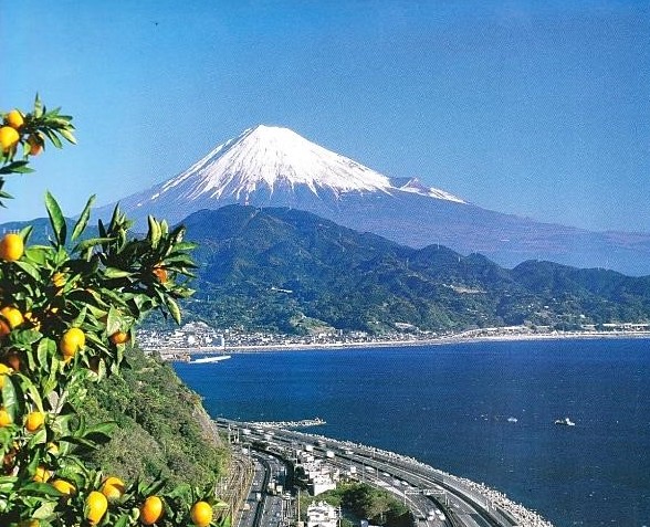 薩埵峠～富士山