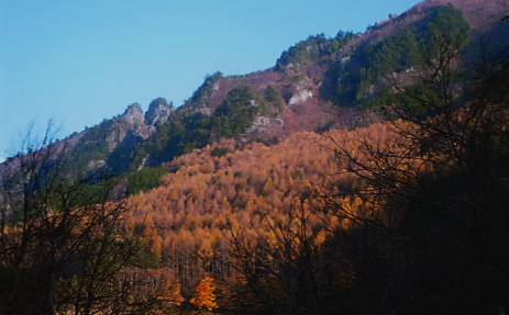 日和田郷