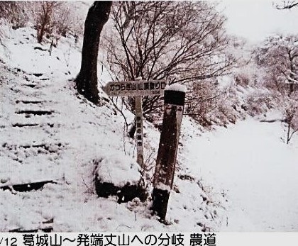 葛城山～発端丈山への分岐