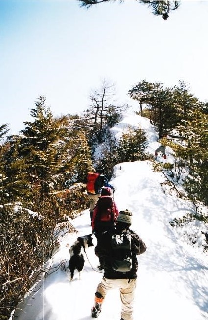 雪庇を踏み抜かない様に慎重に登る