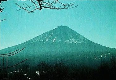 富士山と三湖も望める山～足和田山・羽根子山～（山梨）