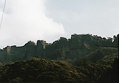 鋸山を望む