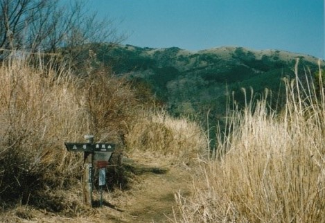 南郷山への分岐