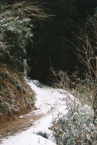 雪道を行く